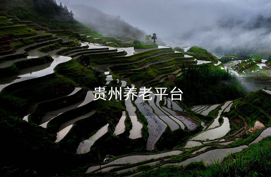 贵州省省级智慧养老平台